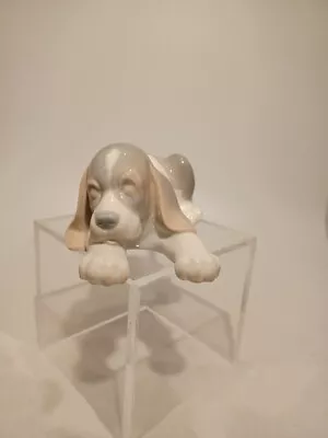 Buy Lladro Sleeping Puppy Beagle Dog Unboxed • 11.69£