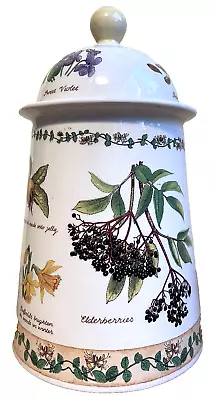 Buy Dunoon Stoneware Storage Jar Nature Trail Design By Richard Partis Made In UK • 6£