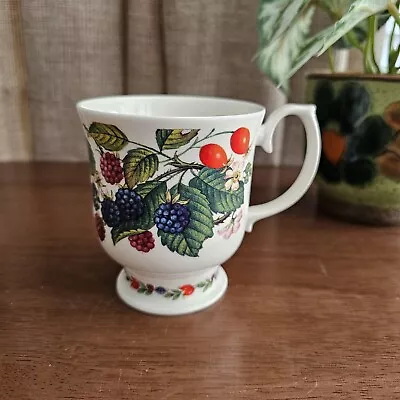 Buy Roy Kirkham Summer Fruits Fine Bone China Footed Mug • 14.95£