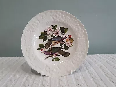 Buy Alfred Meakin England Birds Of America 8.75  Salad Plate Band Tailed Pigeon  367 • 8.99£