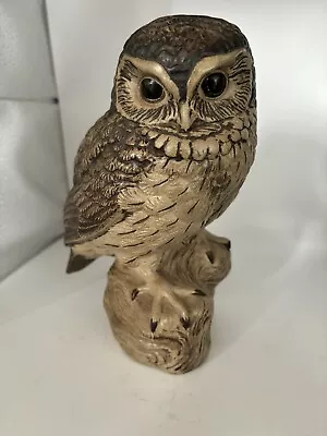 Buy A Large Poole Pottery Stoneware Owl Signed By Barbara Linley  Adams Signature • 12.99£