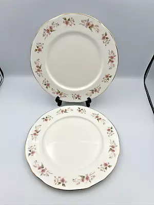 Buy 2 X Duchess Fine Bone China Glen 316 Dinner Plates 26cm In Diameter VGC • 14.50£