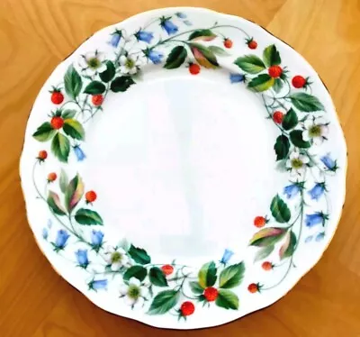 Buy Duchess China Strawberry Fields Dinner/Luncheon Plates 26cms • 8.99£