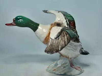 Buy 1943-1965 Beswick SHELDRAKE RISING Bird 994 Duck Figurine .5.75  Shelldrake • 149.95£