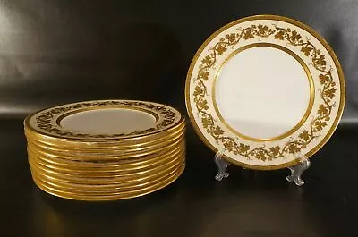 Buy English Coalport Dinner Plates With Gold Grape Stems  Set Of 12 • 838.73£
