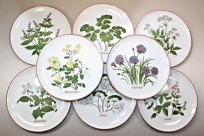 Buy 8 ADG Delphine Herb Botanical Salad Dessert Plates 8  Japan Vtg 1980s • 32.62£