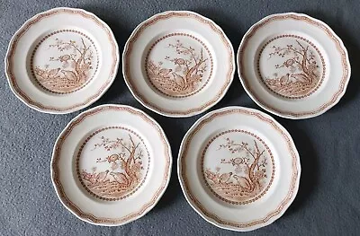 Buy Lot Of 5 Furnivals Brown Quail Vtg 1913 England Salad Dessert 7.5  Plates - NICE • 35.37£