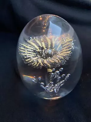 Buy Daum France Signed Crystal Art Glass Golden Flower Bullicante Paperweight 3”h • 91.33£