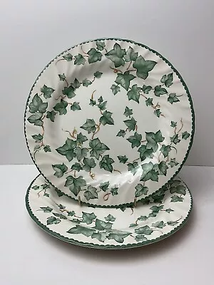 Buy Barratts Country Vine 2 X Large Dinner Plates Lovely  Condition 26cm • 16.99£