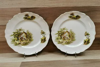 Buy 2 X Vintage 1950s Alfred Meakin 'The Rest' 9.75  Dinner Plates • 10.99£