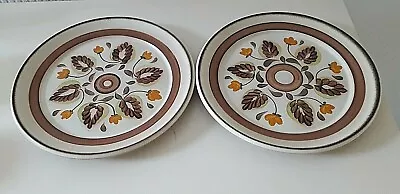 Buy Denby Ware 2 Early 10  Dinner Plates In Vibrant Colours In Excellent Condition • 19.95£