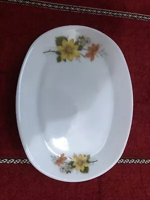 Buy 1 X Vintage Retro JAJ Pyrex AUTUMN GLORY 12  X 9  Oval Steak Plate Platter • 3£