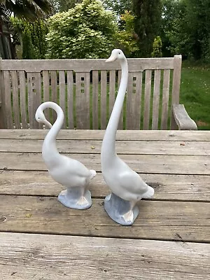 Buy Nao Lladro  Figurine - Pair Of Swan Tall Elegant Numbers 520 & 525 Excellent • 29.99£