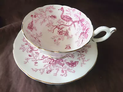 Buy Fine Antique Coalport  Pheasant  Pattern  Bone China Cup And Saucer.  Ex Con • 15£