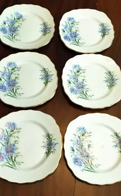 Buy Vintage Royal Vale Blue Cornflower Bone China Plates • 30£