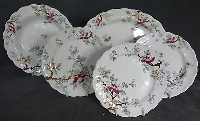 Buy VINTAGE 5 PLATES Of BOOTHS CHINESE TREE PART DINNER SERVICE • 30£