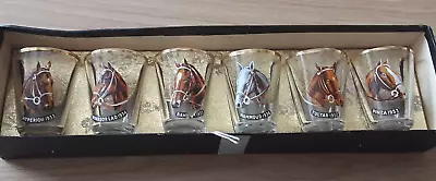 Buy Vintage Derby Winners Drinking Set Of SIX Shot Glasses (BOXED AND ORIGINAL) • 25£