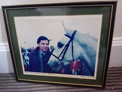 Buy Framed Photograph..ascot..1986..desert Orchid..racehorse..richard Burridge • 6.95£