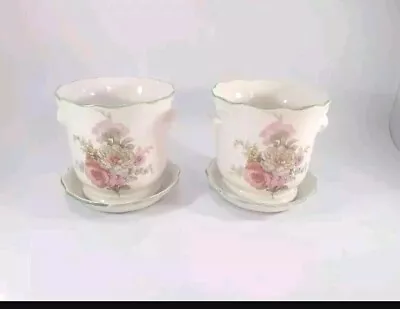 Buy ROYAL WINDSOR Staffordshire Bone China Small Plant Pots With Saucers • 20£