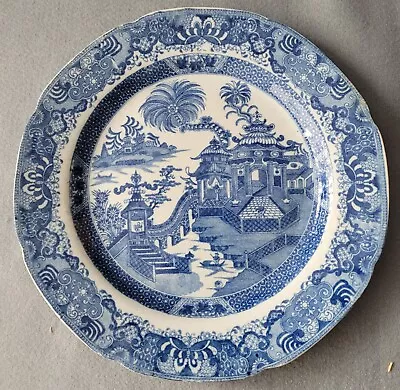 Buy Job Ridgway Pearlware Curling Palm Pattern Blue & White Dinner Plate 1  C1802-08 • 15£