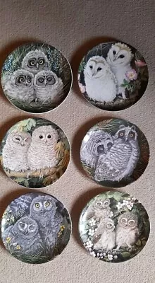 Buy Six Wedgewood Baby Owls Collector Plates By Dick Twinney. • 9.99£