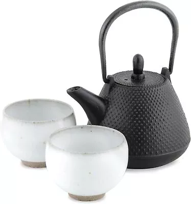 Buy Nanbu Ironware Iron Teapot And Hirakiyomizu-yaki Teacup  • 145.76£