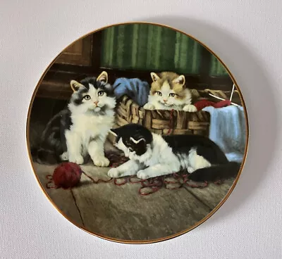 Buy Royal Grafton Fine Bone China Kittens Playful Moments Spinning A Yarn Plate • 11.99£