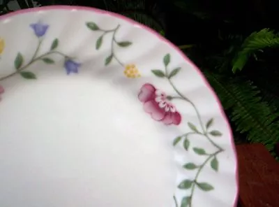Buy Johnson Brothers Summer Chintz Bread & Butter Plate(s) • 6.48£