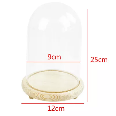 Buy Glass Display Dome Bell Jar Cloche Wooden Base Figure Action Gift Table Decor • 8.95£