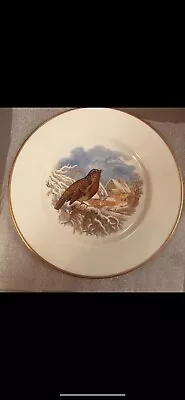 Buy Coalport. BRITISH BIRD..The Robin Plate • 15£