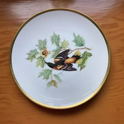 Buy Hutschenreuther Selb  Baltimore Oriole  Dessert Plate Bavaria Audubon Bird 8  • 13.98£