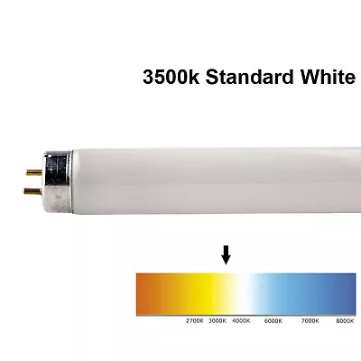 Buy BELL T5 Fluorescent Tubes Strip Light Bulbs 4W 6W 8W 13W - Cool / Standard White • 4.49£