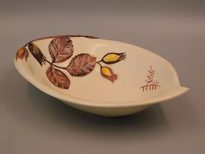 Buy Carlton Ware Hazel Nut Oval Dish. • 9.99£