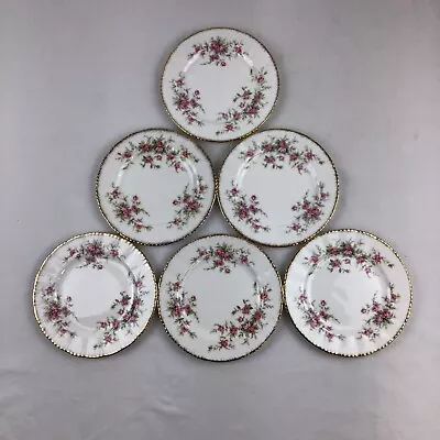 Buy Royal Albert Paragon Victoriana Rose Tea Plates X6 Fine Bone China 16 Cm 6.5 Ins • 22.95£
