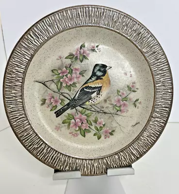 Buy Retro Vintage Purbeck Pottery ‘Brambling’ Plate Bird Flowers Floral. 9 Inch. • 6£