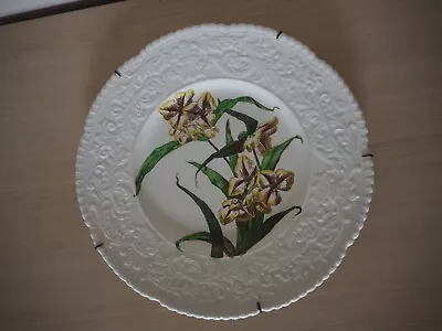 Buy Vintage Royal Cauldon England Flower Series Collection Cream Plate : Yellow 2894 • 19.99£