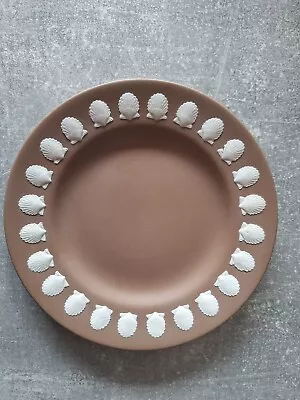 Buy Jasperware Shell Browm Plate  (SMALL Pinhole In One Shell) • 55£