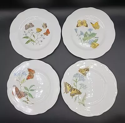 Buy Queen's Fine Bone China  Butterflies  - Dessert/Salad Plates Made In England • 33.50£