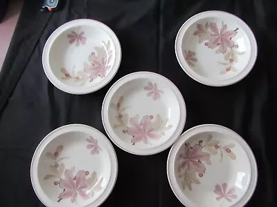 Buy Wedgwood Chestnut Oven To Tableware - 5 X Soup/dessert/cereal Plates 18cm/7.5  • 12£