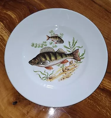Buy Vintage Ceramic Fish Design Plate, Made By Maddock, England  • 8.95£