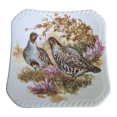 Buy Royal Adderley Game Birds Bone China England Trinket Dish Quails 4 X4  • 9.33£