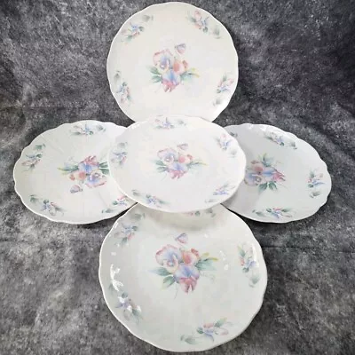Buy Vintage Aynsley Bone China Little Sweetheart 5x Large Dinner Plates / Cake • 19.99£