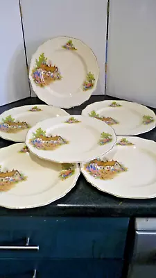 Buy Alfred Meakin Hathaway Cottage Set Of 6 Dinner Plates (9.75 )   1940's/50's • 65£