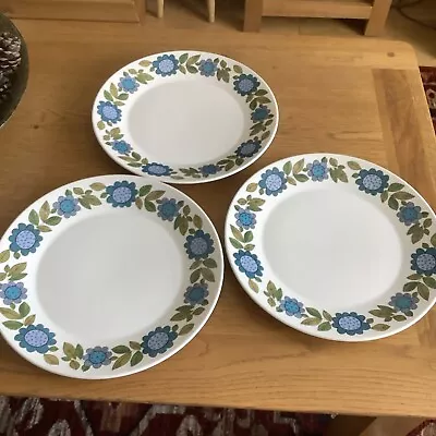 Buy 3 X Vintage J&g Meakin Ironstone 25cm Dinner Plates In The Topic Pattern. • 17.99£