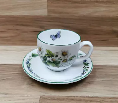 Buy Royal Worcester Herbs Fine Porcelain Tea Cup & Saucer • 8.99£