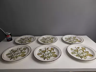 Buy 6 X Midwinter Stonehenge Green Leaves Stoneware Dinner Plates - GC - 26.5 Cm • 65£