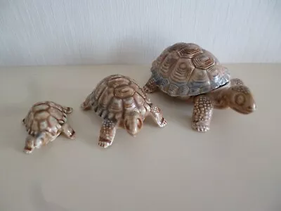 Buy Vintage Wade Porcelain Set Of 3 Tortoises • 5£