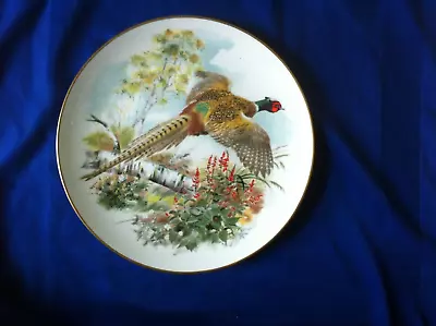 Buy Crown Staffordshire Decorative Plate, Pheasant, 9”/23cm Diameter • 2.99£
