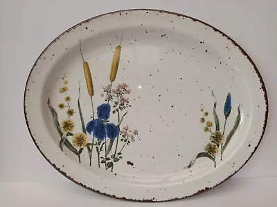 Buy Midwinter Stonehenge Riverside Oval Serving Plate 34 X 28 Cm • 19.99£