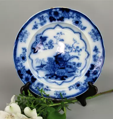 Buy TALLI Blue Flow Plate. J & R Godwin Cobridge. 9.5   Antique / Vintage. C.1850 • 34.99£